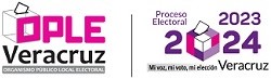 logo electoral 